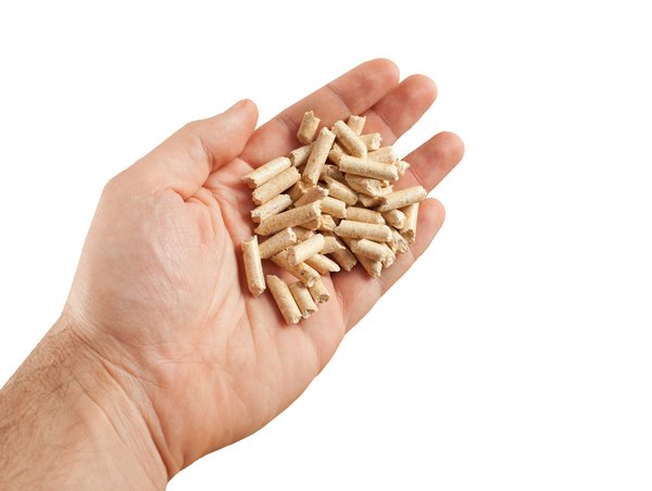 Les poêles à pellets Nord Pas de Calais : un moyen parfait pour le chauffage à la maison